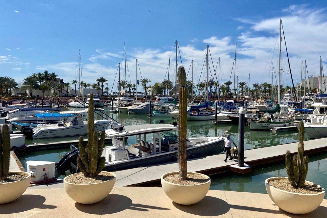 La Paz Travel Guide for Families