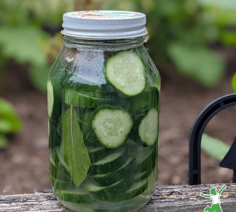 Fermented Cucumbers: Healthy Pickles Recipe (+ Video)