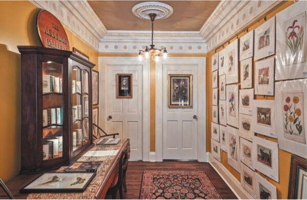 Annandale’s second- floor gallery is filled with 18th- and 19th-century hand- colored etchings and lithographs of flora and fauna. (Imaginary Lines, Mary Brandt Photography)