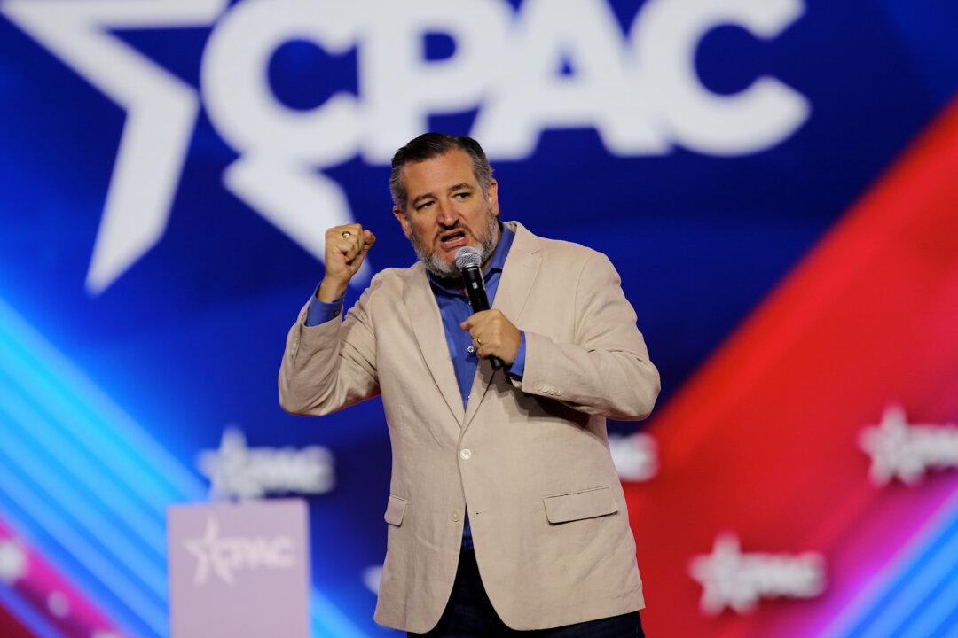 Ted Cruz Says Midterms Will Be ‘Red Tsunami', Democrats Can Only Focus on Abortion