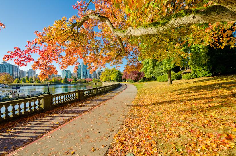 Autumn’s Arrival Signals Our Time for Rebirth and Renewal