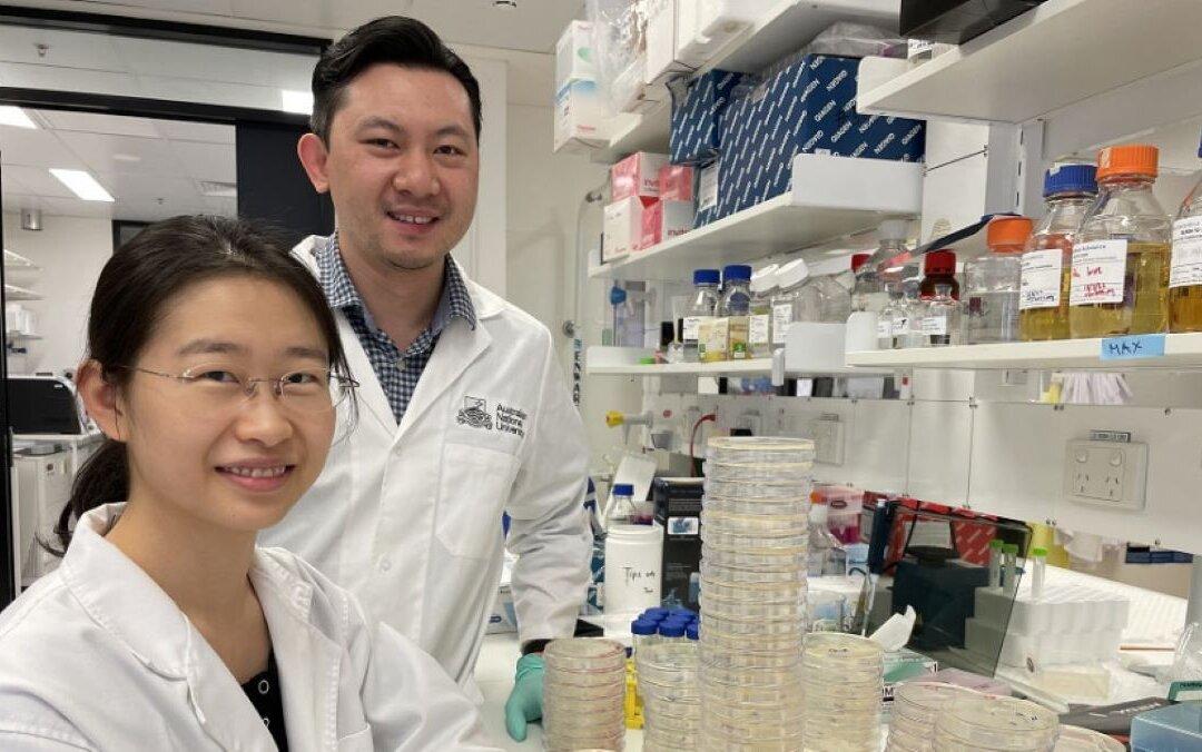 Bacteria-Killing Immune Proteins Pave Way for New Infection Treatments