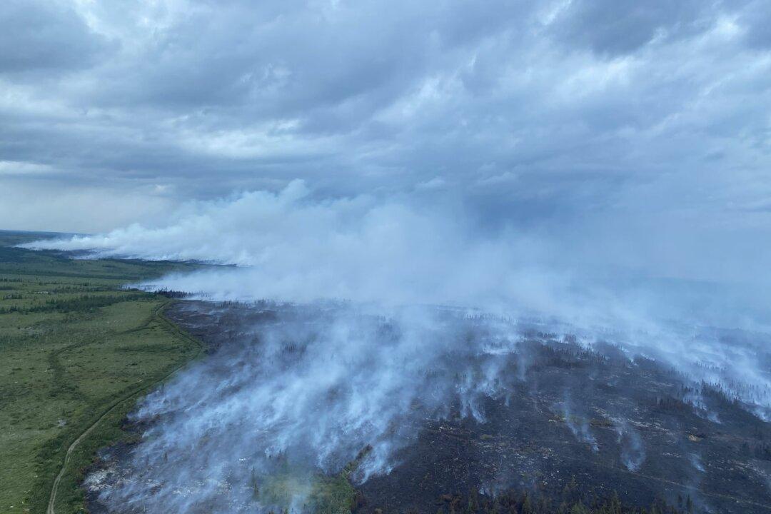 Community Cut Off by Newfoundland Forest Fires Running out of Food, Says Deputy Mayor