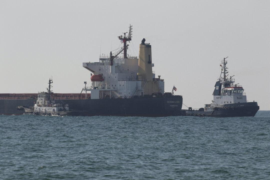 Two More Grain Ships Leave Ukraine, Bringing Total to 12 Under New Deal