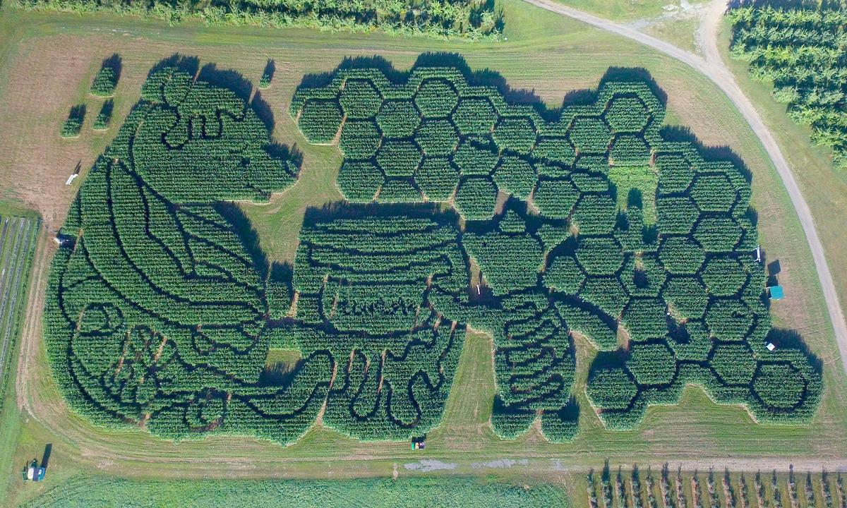 Maine’s Oldest-Running Corn Maze Celebrates 22nd Year With ‘Winnie the Pooh’ Theme