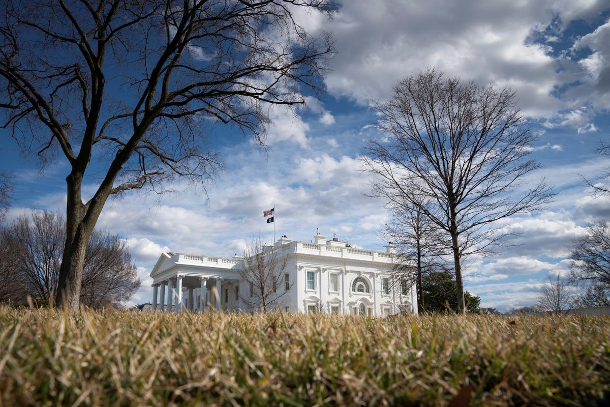 America’s Voting Patterns and the 2024 Elections