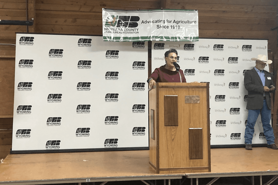 Congressional Candidate Proposes Pilot Program to Cede Federal Land to Wyoming