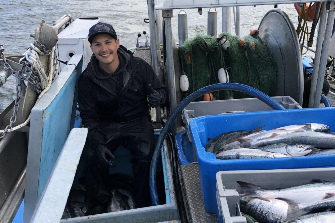 Commercial Fishers and Wild Salmon Advocates Cheer Large Returns to BC Waters