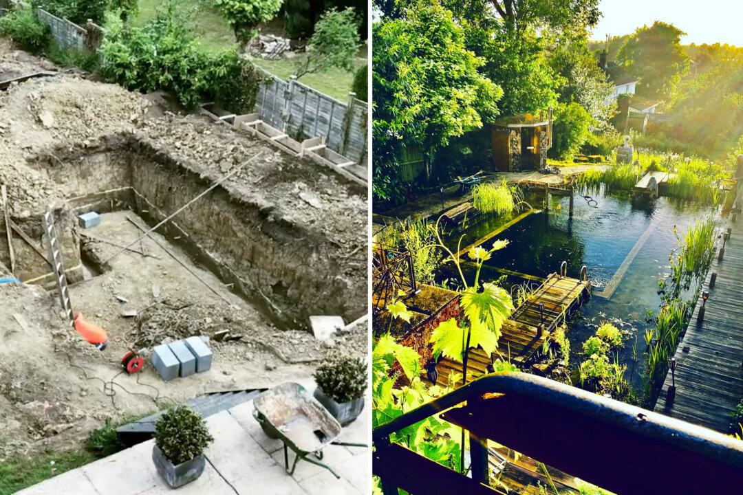 Couple Transform Their Garden Into Plant-Filled Swimming Pool That is Chlorine and Chemical Free