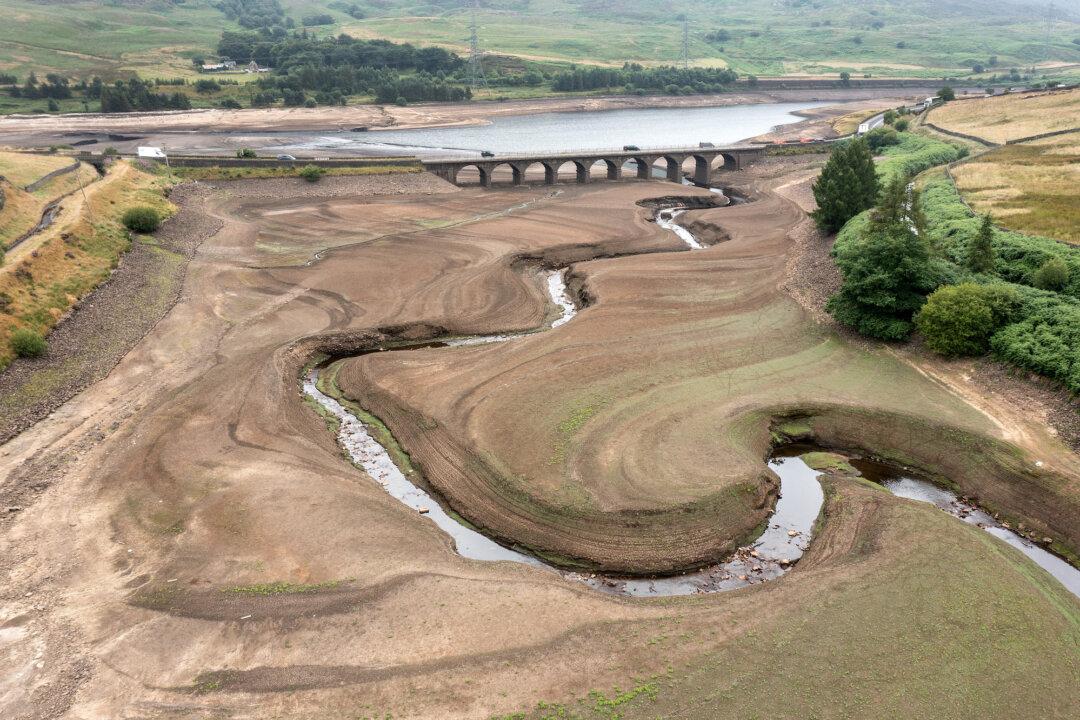UK Water Regulator Will ‘Hold Companies to Account’ Amid Drought