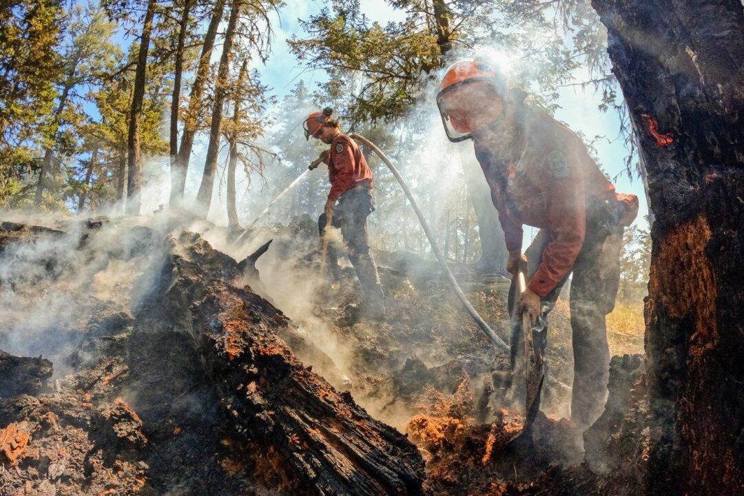 Firefighters Brace for Lightning, High Winds Across Southern Interior as Storms Loom