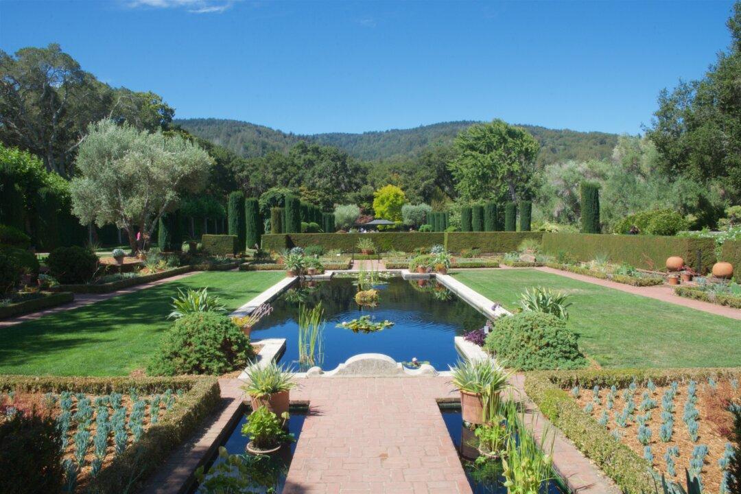Summer Splendor at the Historic Filoli House and Garden