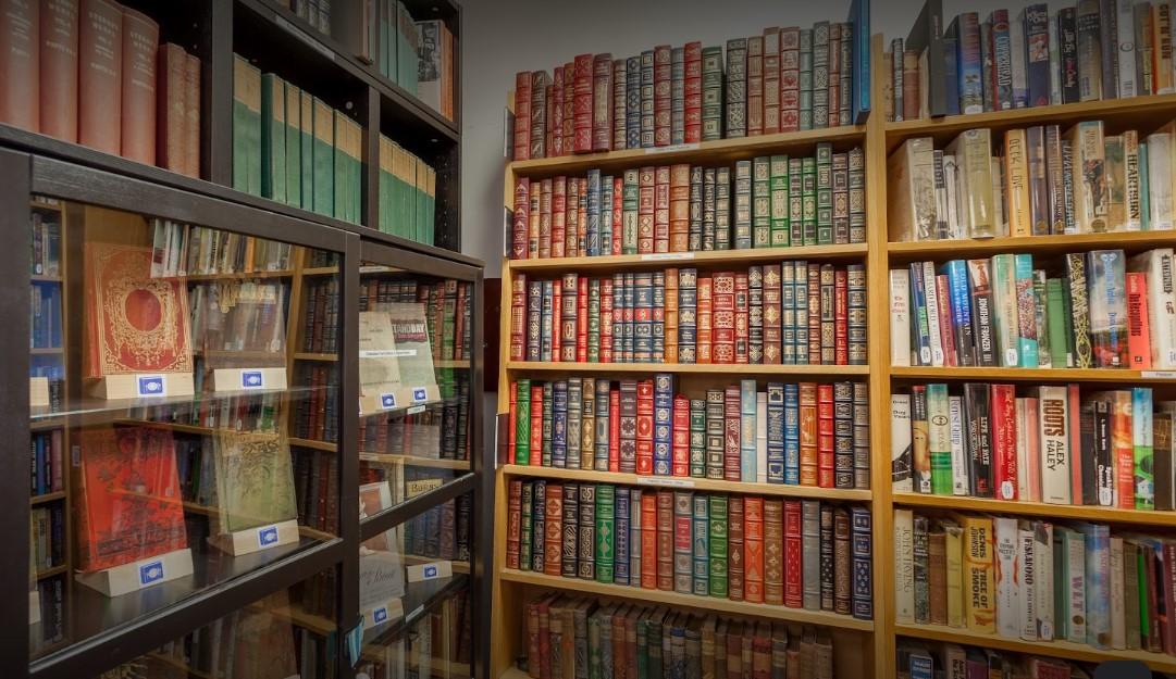 ‘Surrounded by Western Civilization’: The Overlooked Curators of Culture