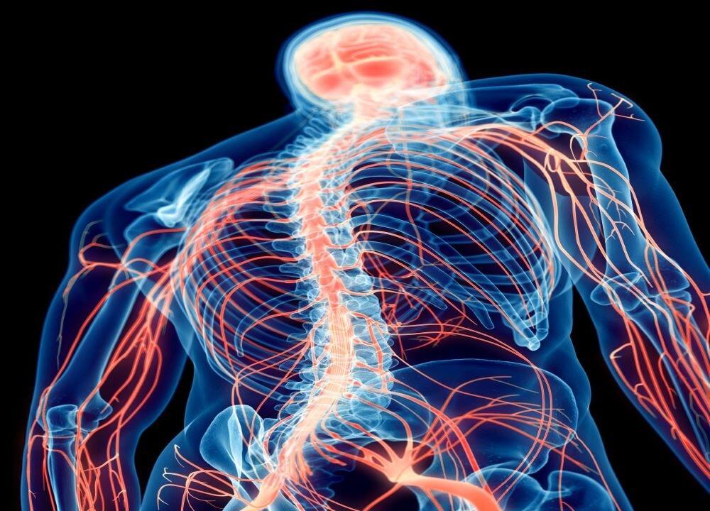 ‘Toxic’ Protein Linked to Multiple Forms of Motor Neurone Disease