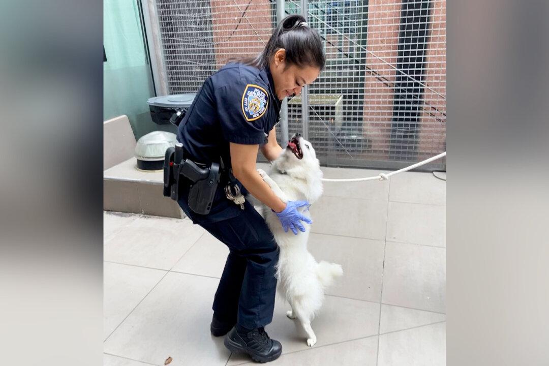 ‘This Pup Will Never Be Neglected Again’: NYPD Officer Adopts Dog She Rescued From a Hot Car