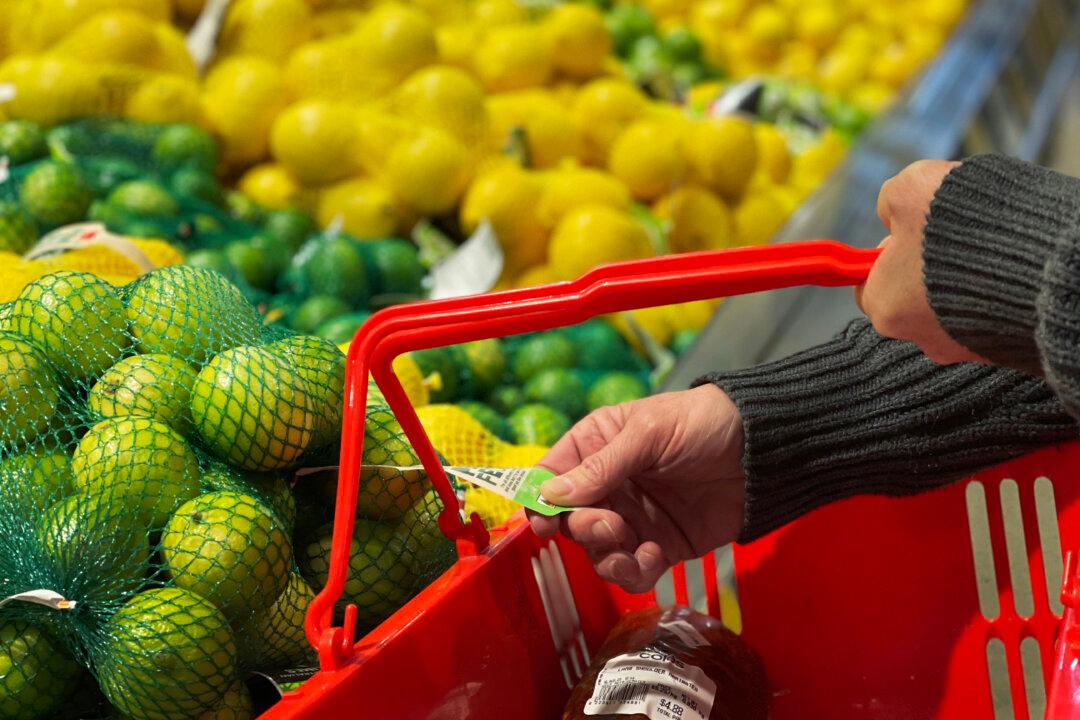 Parents Struggling to Pay for School Lunches, Equipment: Charity
