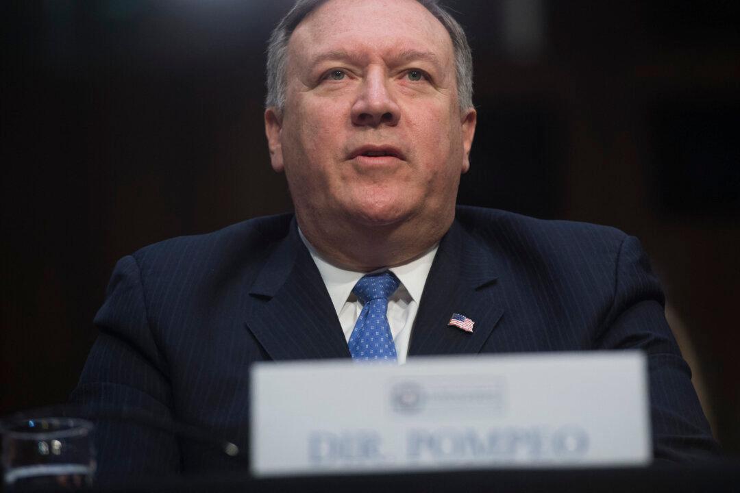 CIA, Pompeo Sued by Julian Assange Lawyers, Journalists Over Alleged Spying at Ecuadorian Embassy