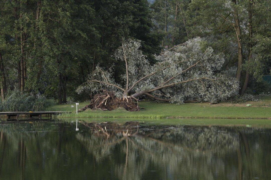 Falling Trees Kill 5 in Storms Lashing Austria