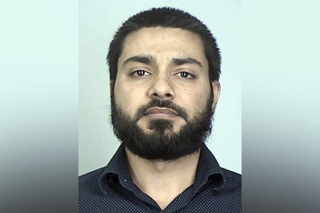 Pakistani Doctor Pleads Guilty to Terror Charge in Minnesota