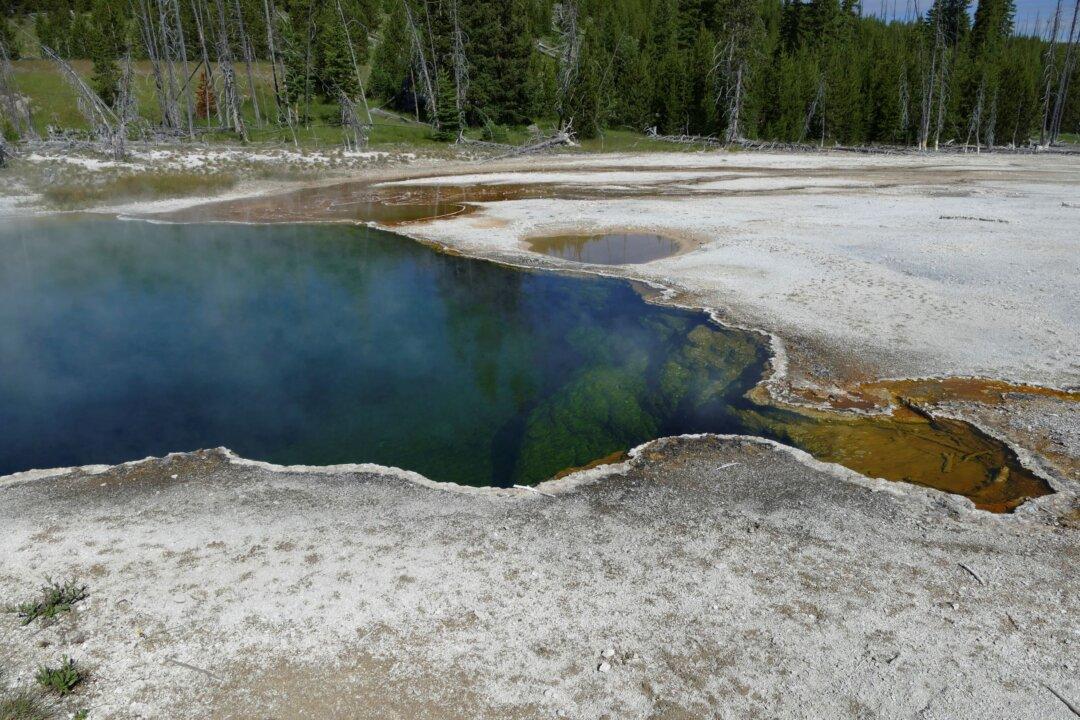 Foot Found in Yellowstone National Park Belonged to LA Man