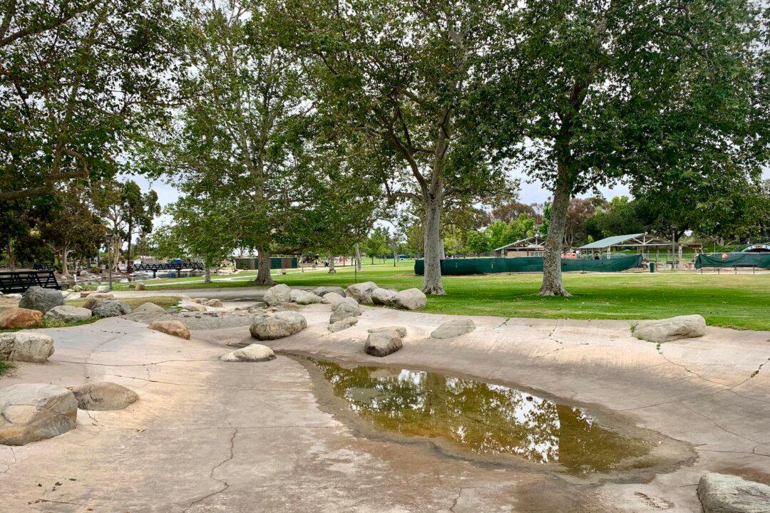 2 Ducks Violently Attacked in Fountain Valley