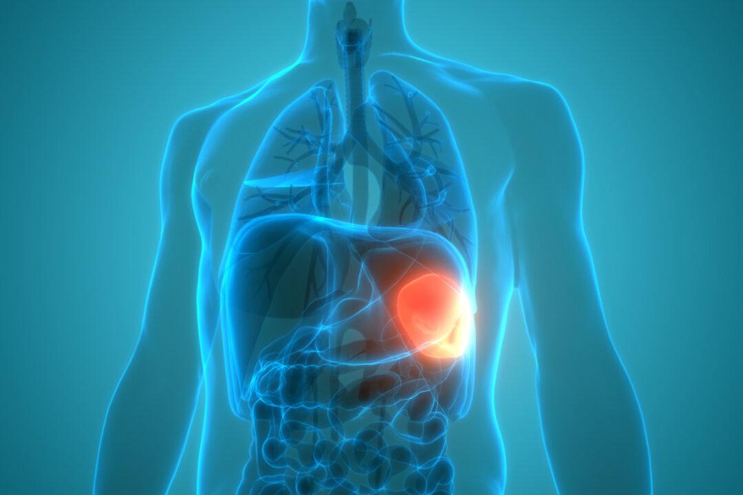 Enlarged Spleen Causes, Symptoms and Treatment