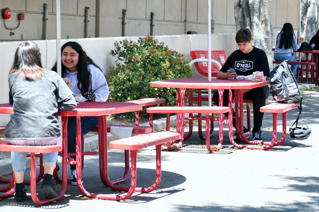 Plentiful Food in an Academic Desert