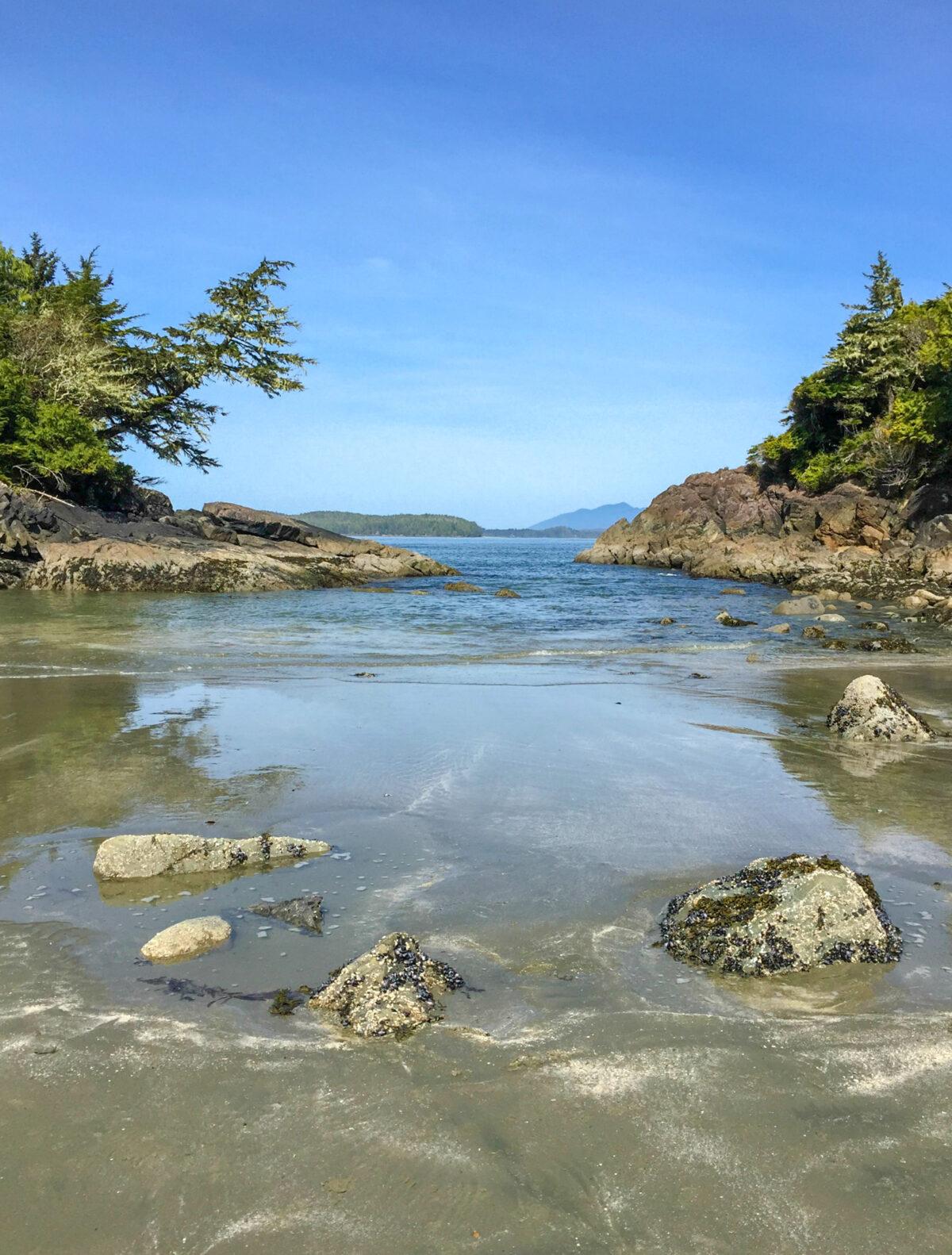 Tofino. (Courtesy of Michelle Sutter)
