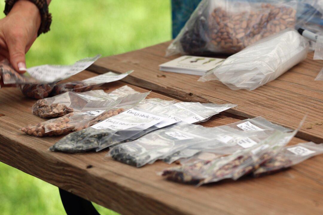 Looking to Grow the Same Tomatoes Your Grandmother Did? Try Seed Savers Exchange