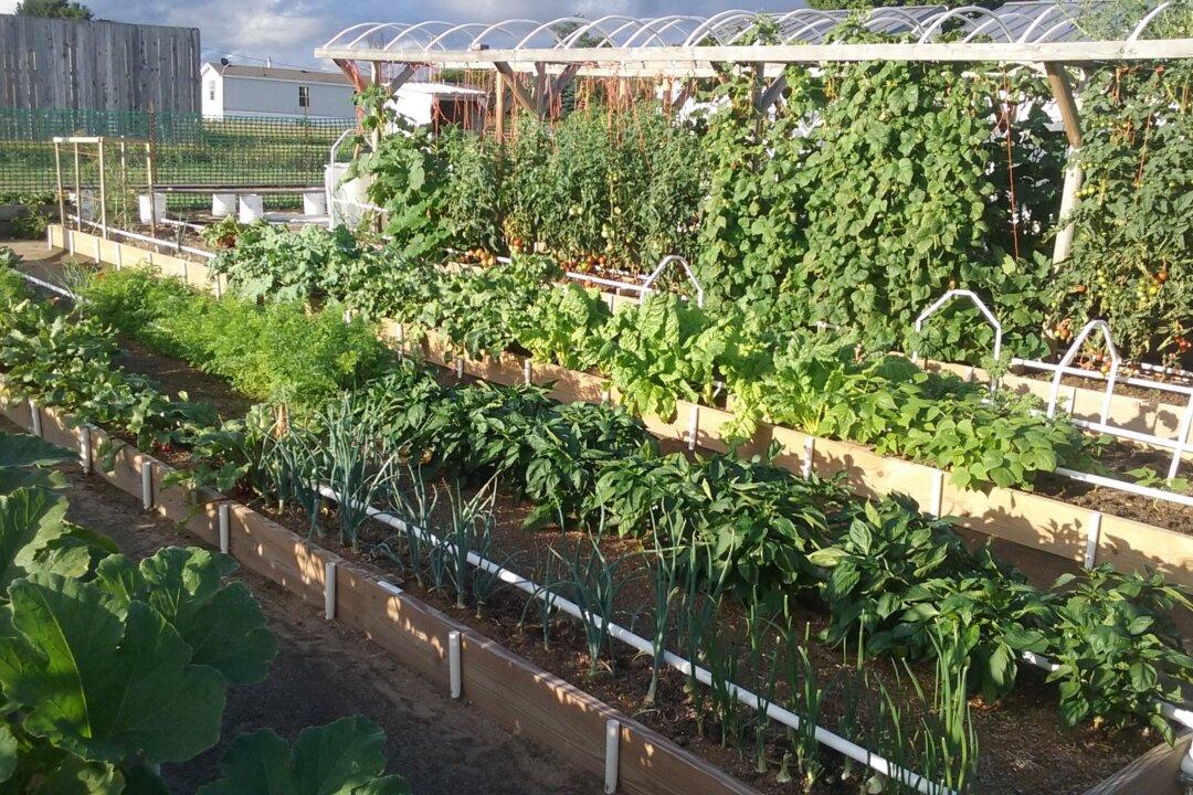 This Gardener Wants to Teach the World How to Grow Healthy, Bountiful Food