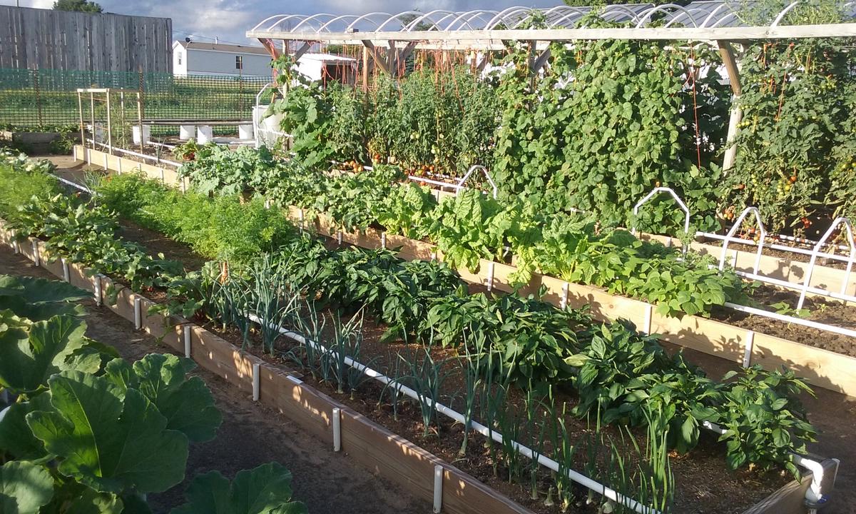 This Gardener Wants to Teach the World How to Grow Healthy, Bountiful Food