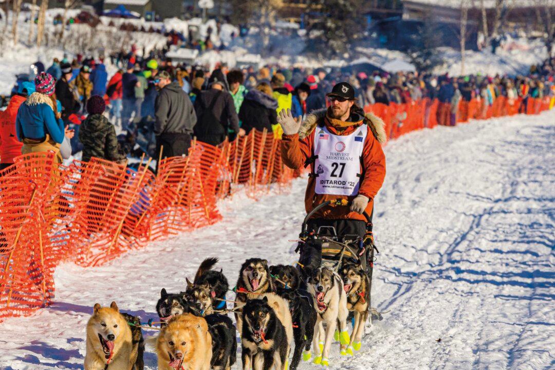 A Champion Wins Alaska’s Toughest Dog Sled Race By Communing with Nature and His Furry Companions