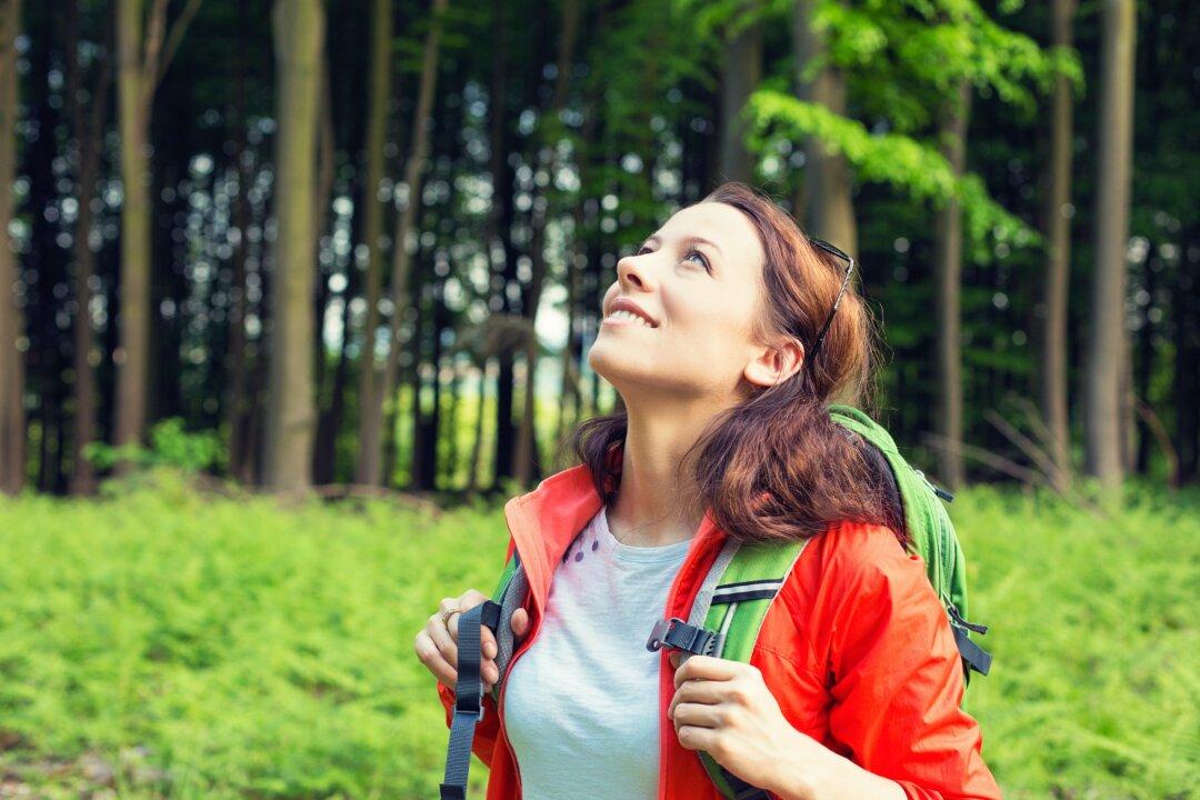 Mindfulness in Nature: How to Really Soak It In