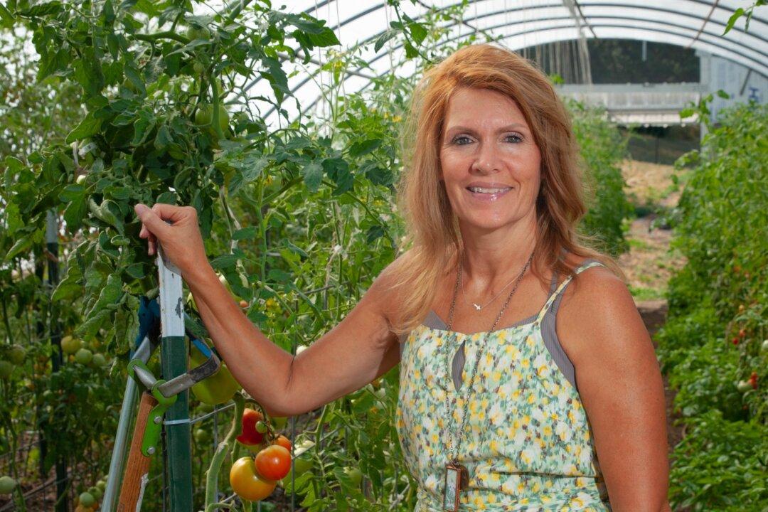Hands-On Farming School Helps Veterans Find New Purpose and Livelihood