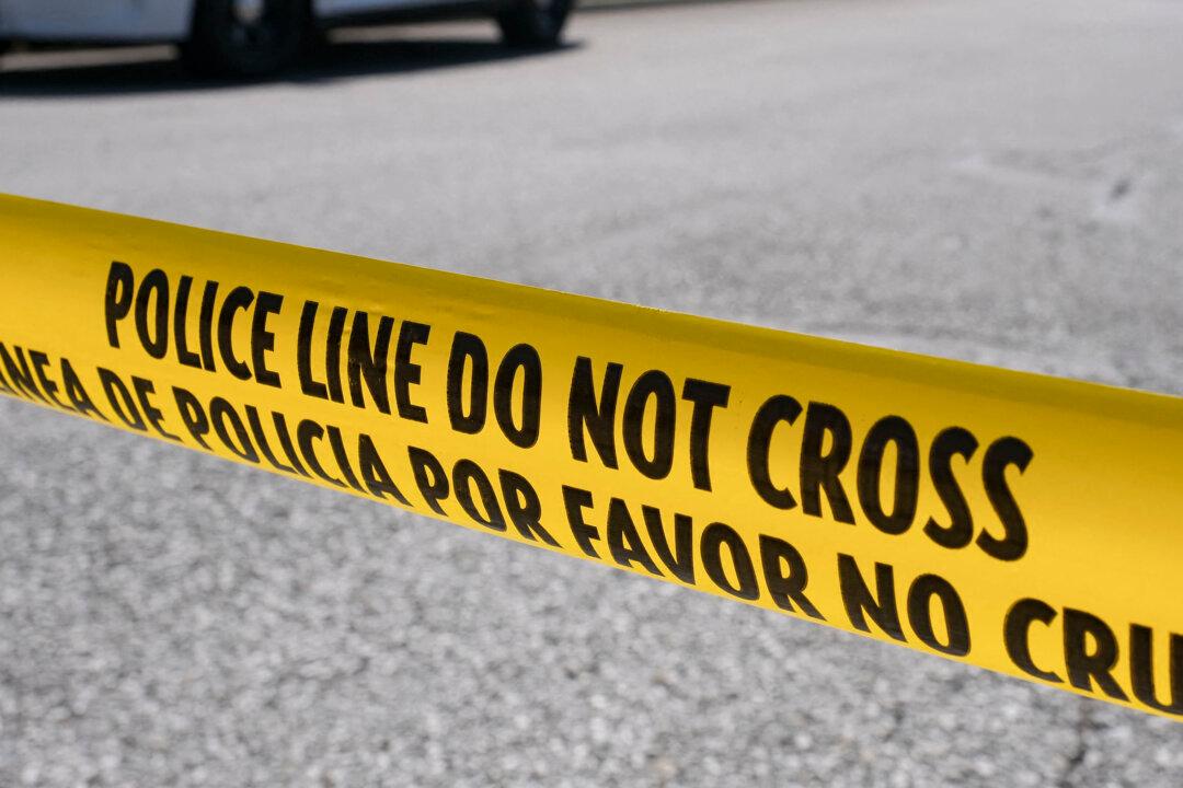 Violent Crime on the Rise in Major US Cities but Homicides Down: Survey