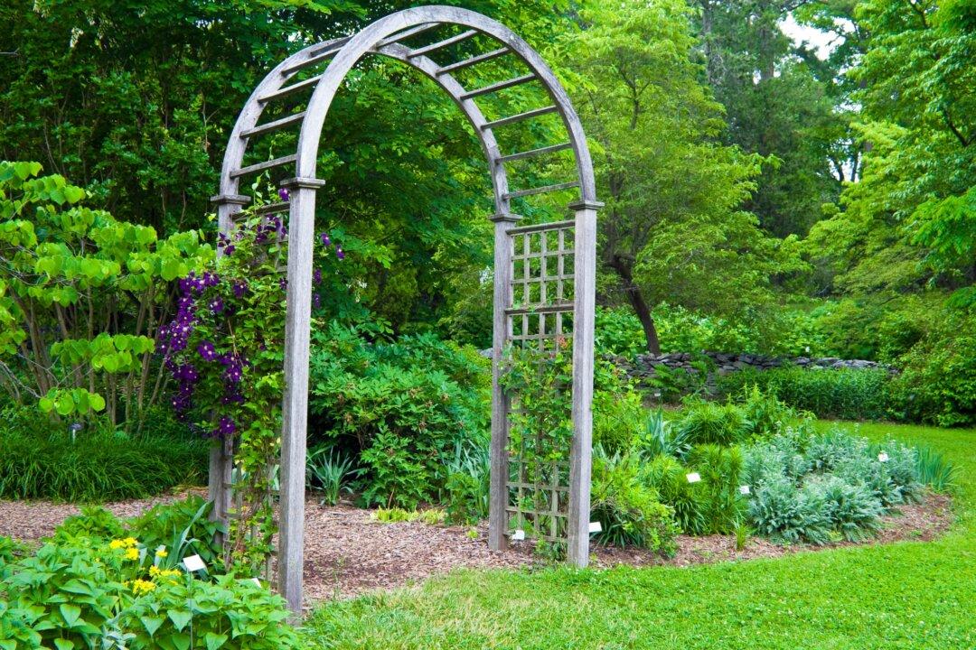 Build a Garden Arbor