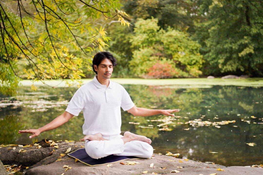 Mindfulness Meditation Versus Compassion Meditation for Immunity