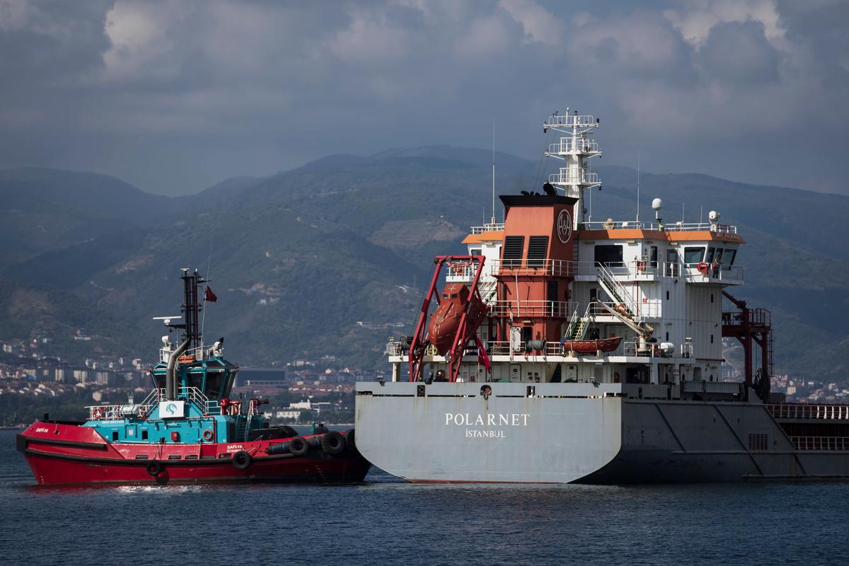 Shipping Problems Will Persist for Years, Fueling Cost-of-Living Crisis, Warns Logistics Giant