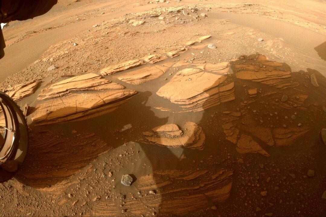 Rock-Hunting NASA Rover Reveals Martian Crater’s Surprising Geology