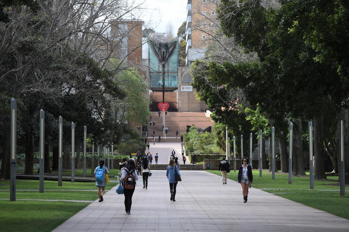 The Long March of Woke Ideology Through the Universities