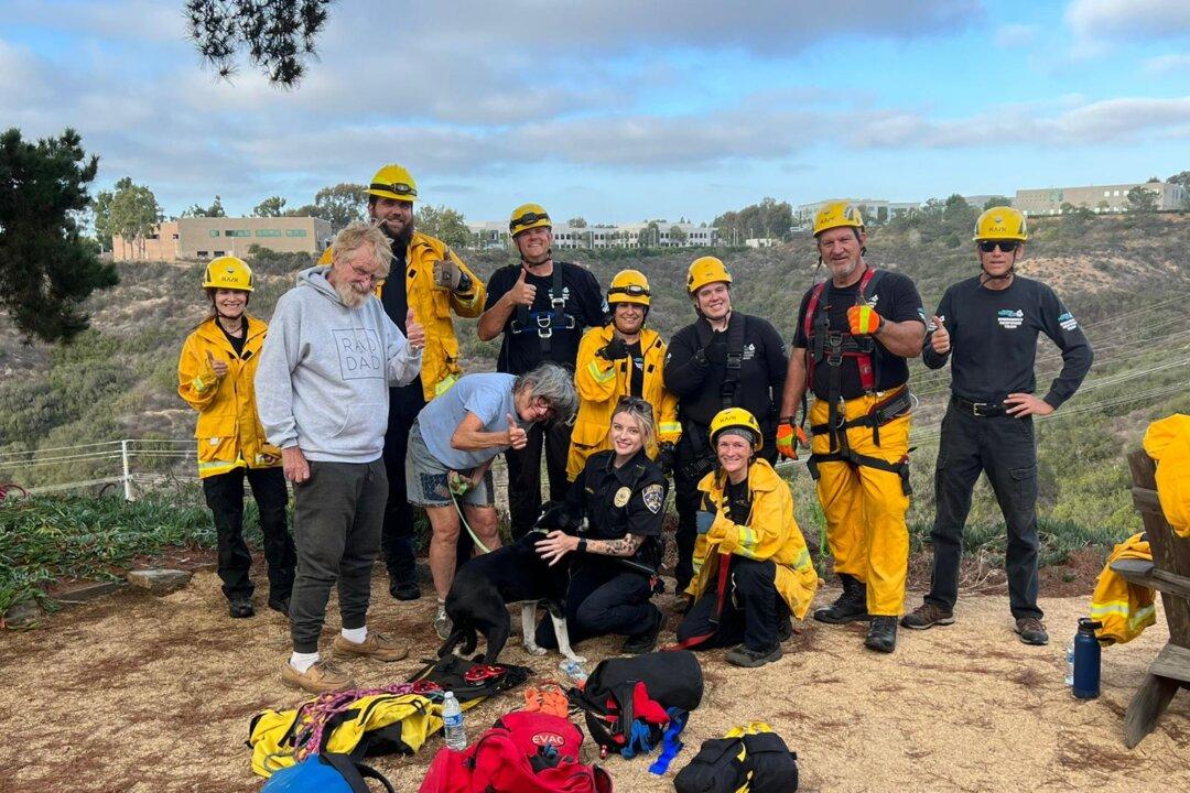 Humane Society Rescues Deaf Dog From Deep Sorrento Valley Ravine