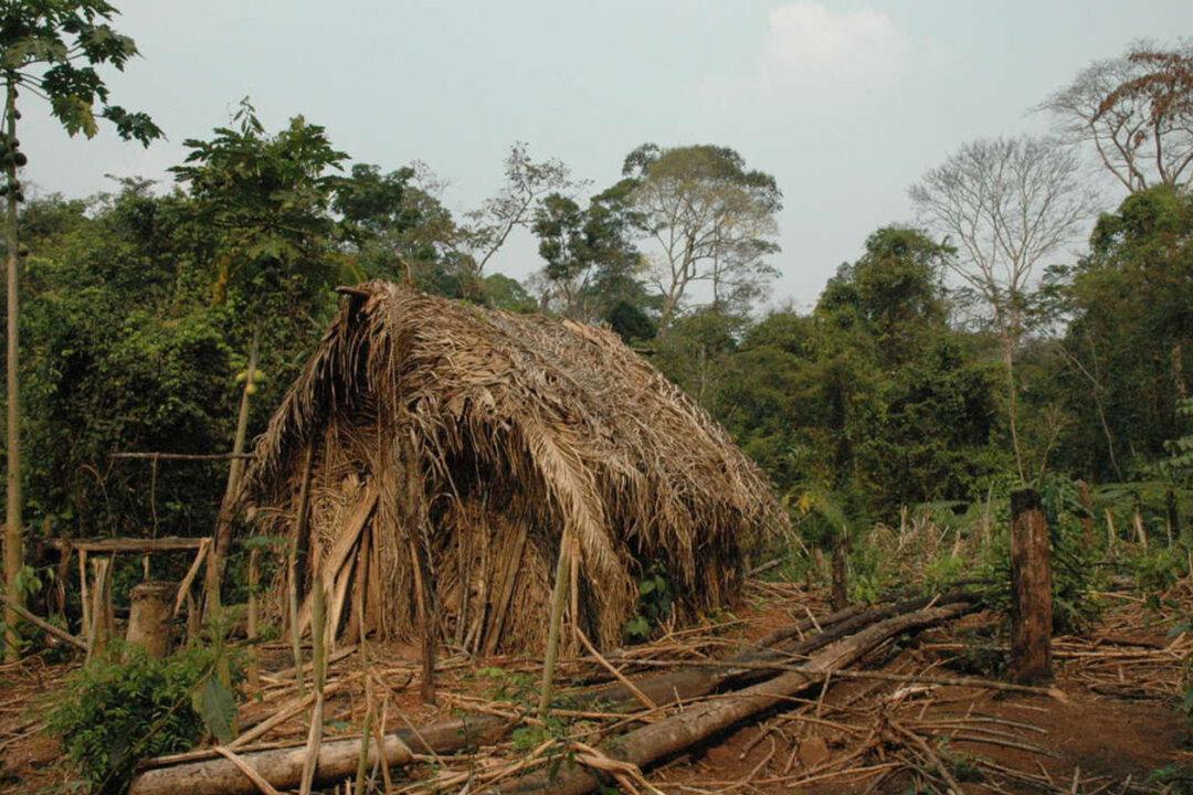 ‘Man of the Hole,’ Last Survivor of Uncontacted Amazon Tribe, Died