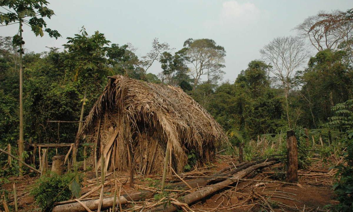 ‘Man of the Hole,’ Last Survivor of Uncontacted Amazon Tribe, Died