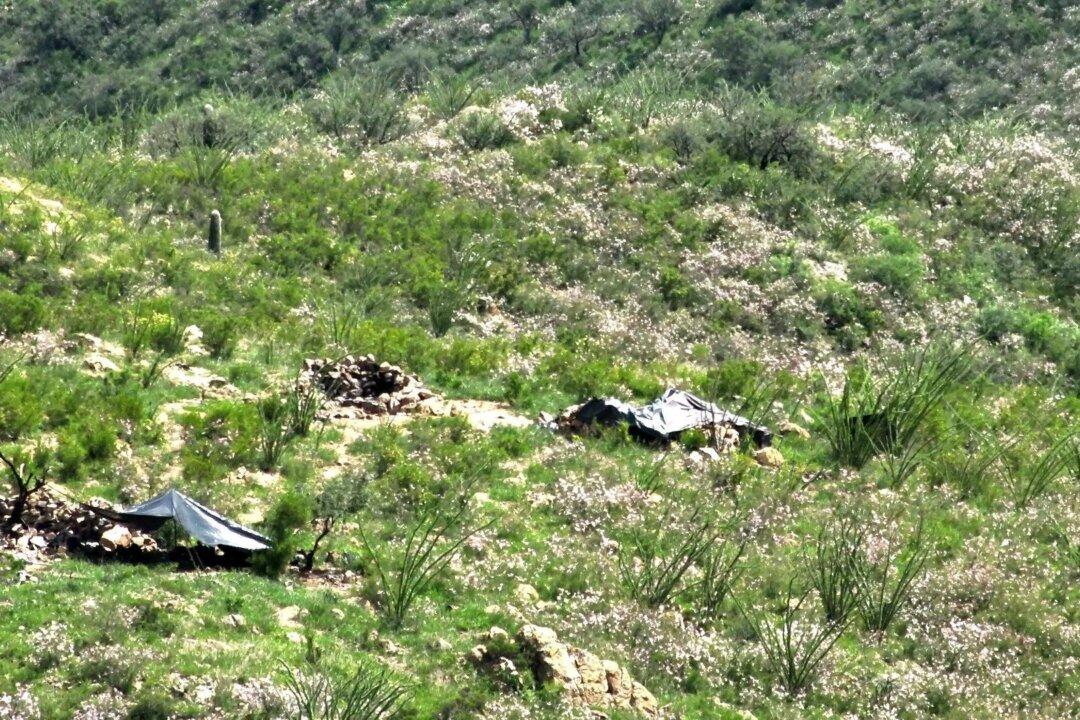 Drone Captures Images of Mexican Drug Cartel Camp