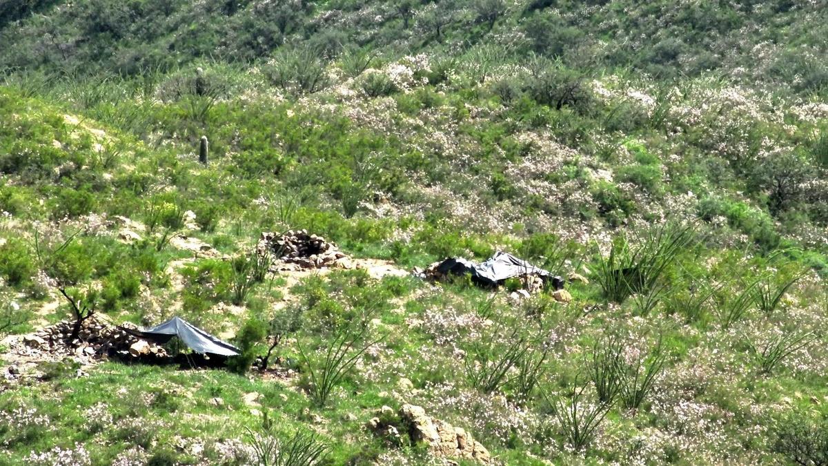 Drone Captures Images of Mexican Drug Cartel Camp