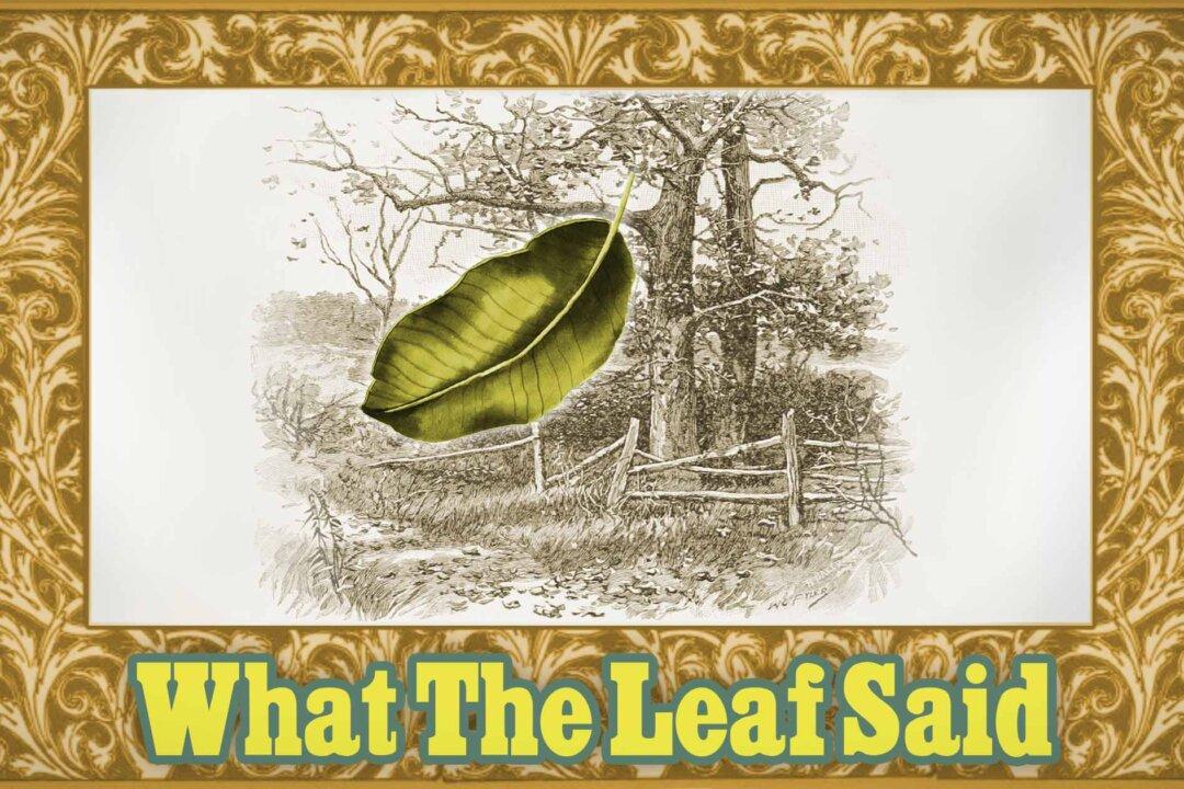 Moral Tales for Children From McGuffey’s Readers: What the Leaf Said