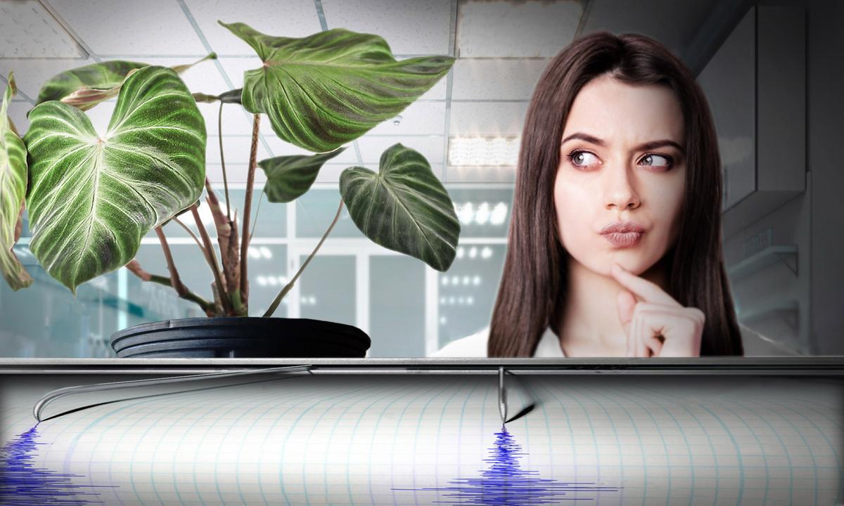 Lie Detectorist Reveals Plants Have Senses, Can Read Minds—And Quantum Entanglement Could Explain How