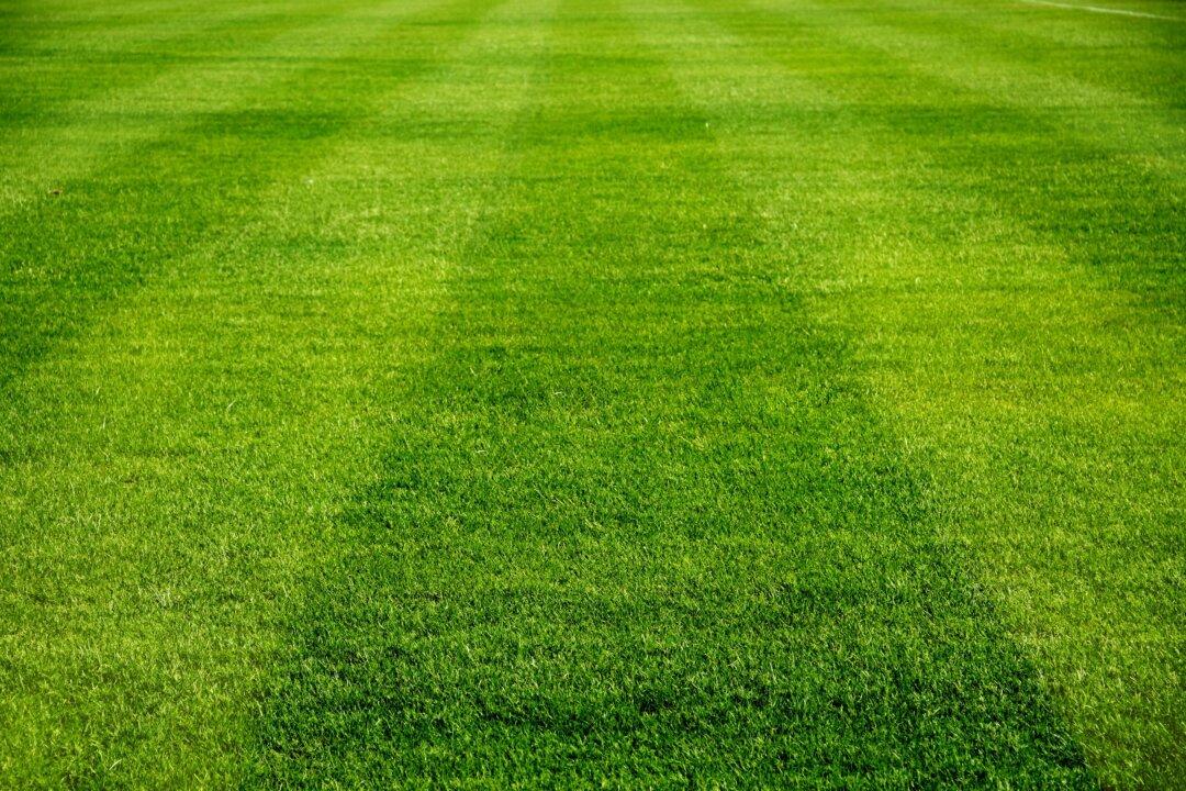 4 Killed in Shooting at Soccer Field in Central Mexico