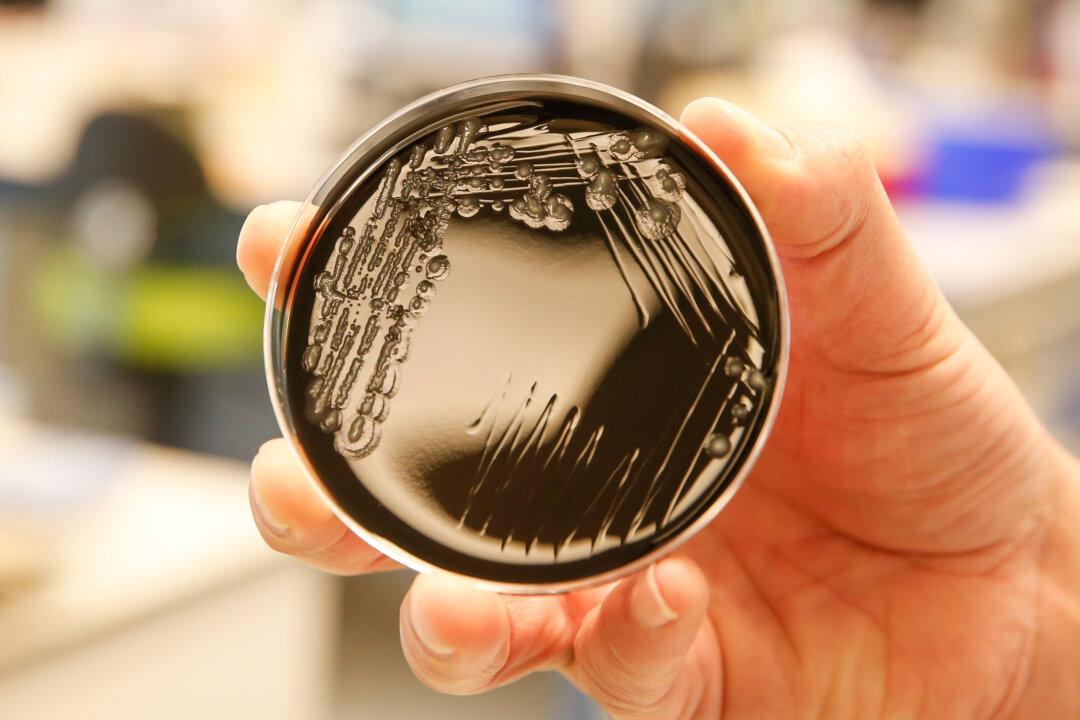 Las Vegas Hotel Guests Test Positive For Legionnaires’ Disease: Health District