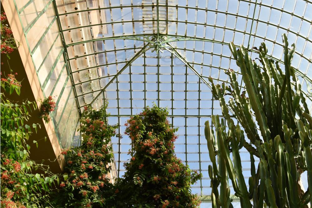 The Botanical Gardens of Rome offer a verdant oasis in the middle of the bustling city. (tozzi.marta/Shutterstock)